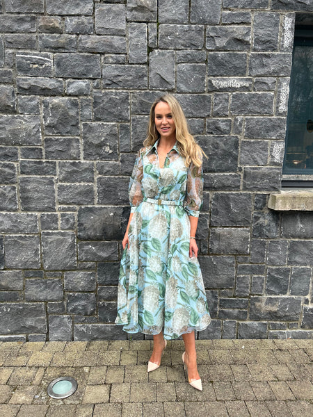 Sage print organza dress