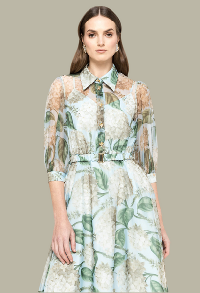 Sage print organza dress